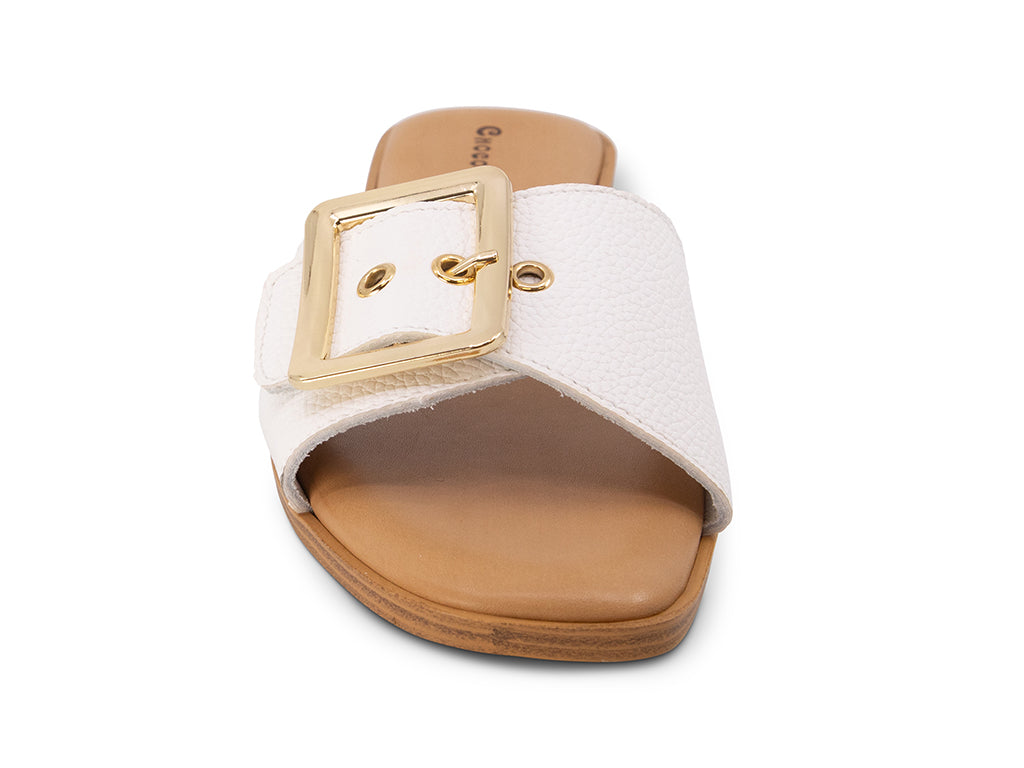 view of the upper from the front