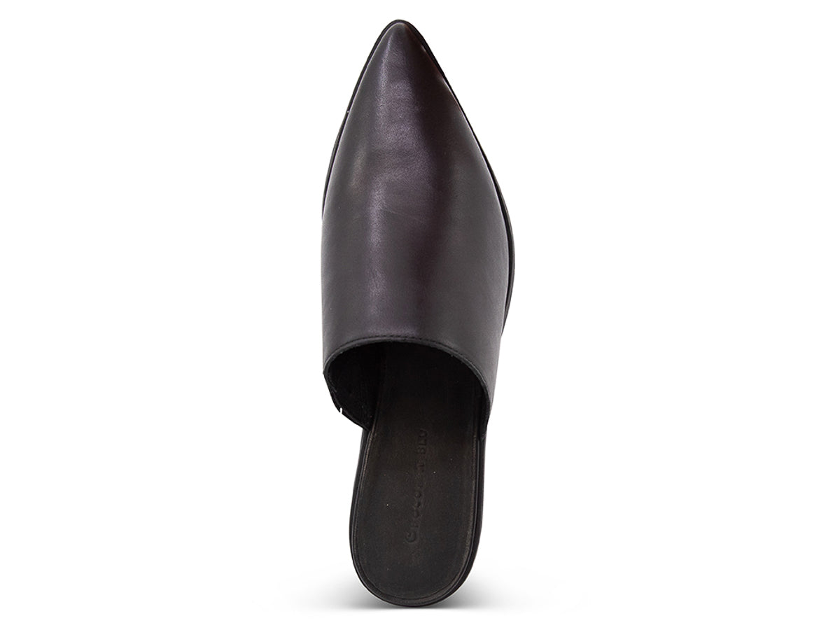 Black leather pointed toe with block heel on a white background top view