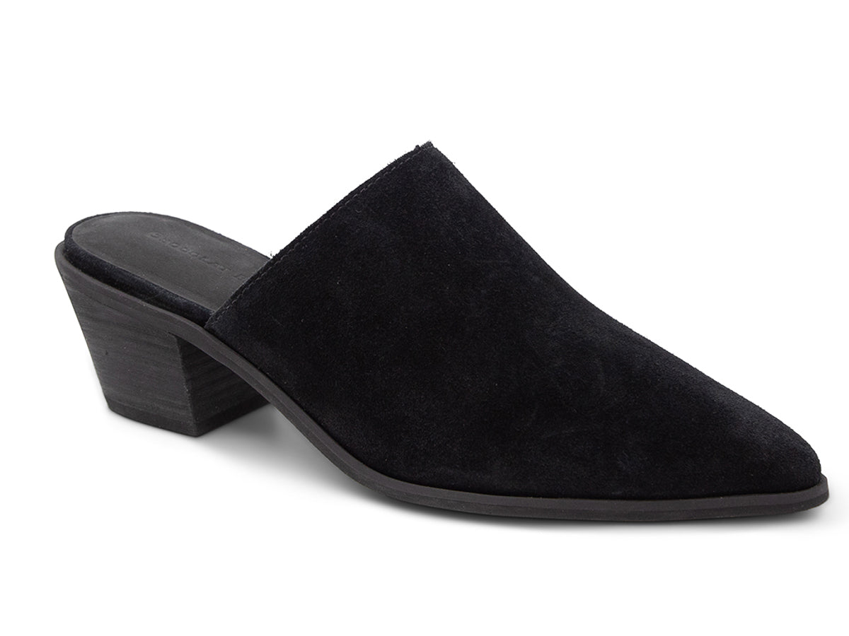 Black suede pointed toe slide in shoe with block heel on a white background side angle view
