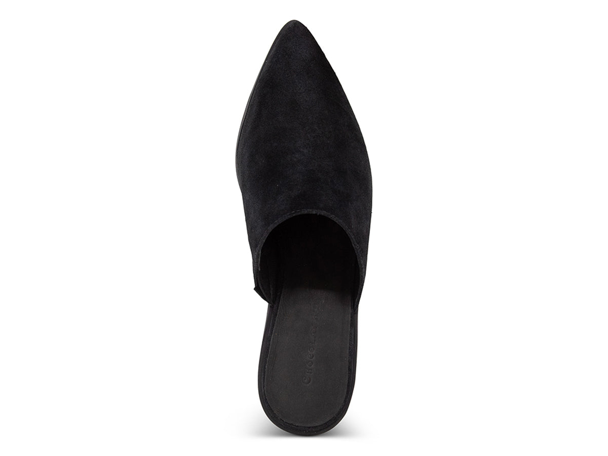 Black suede pointed toe slide in shoe with block heel on a white background top view
