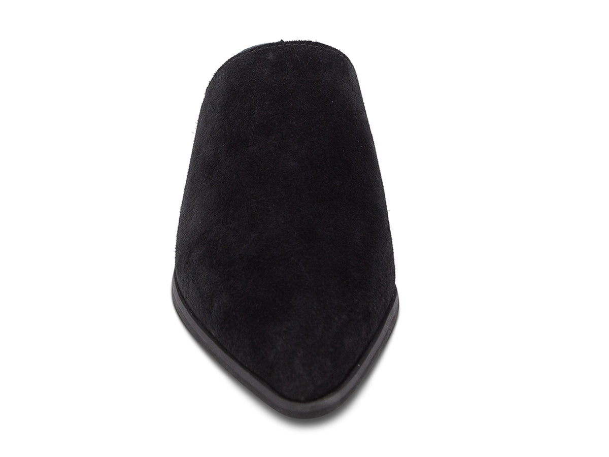 Black suede pointed toe slide in shoe with block heel on a white background front view