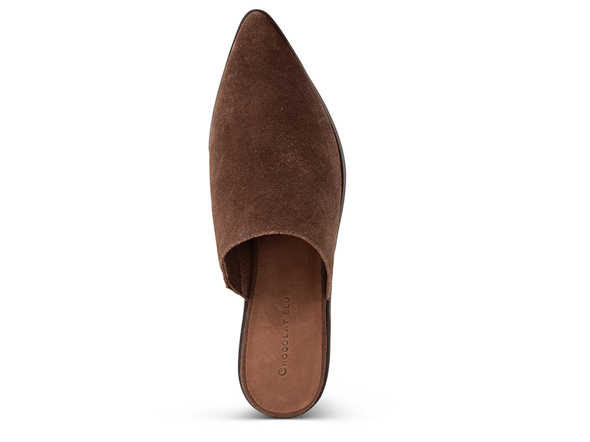 Chocolate suede pointed toe slide in shoe with block heel on a white background top view