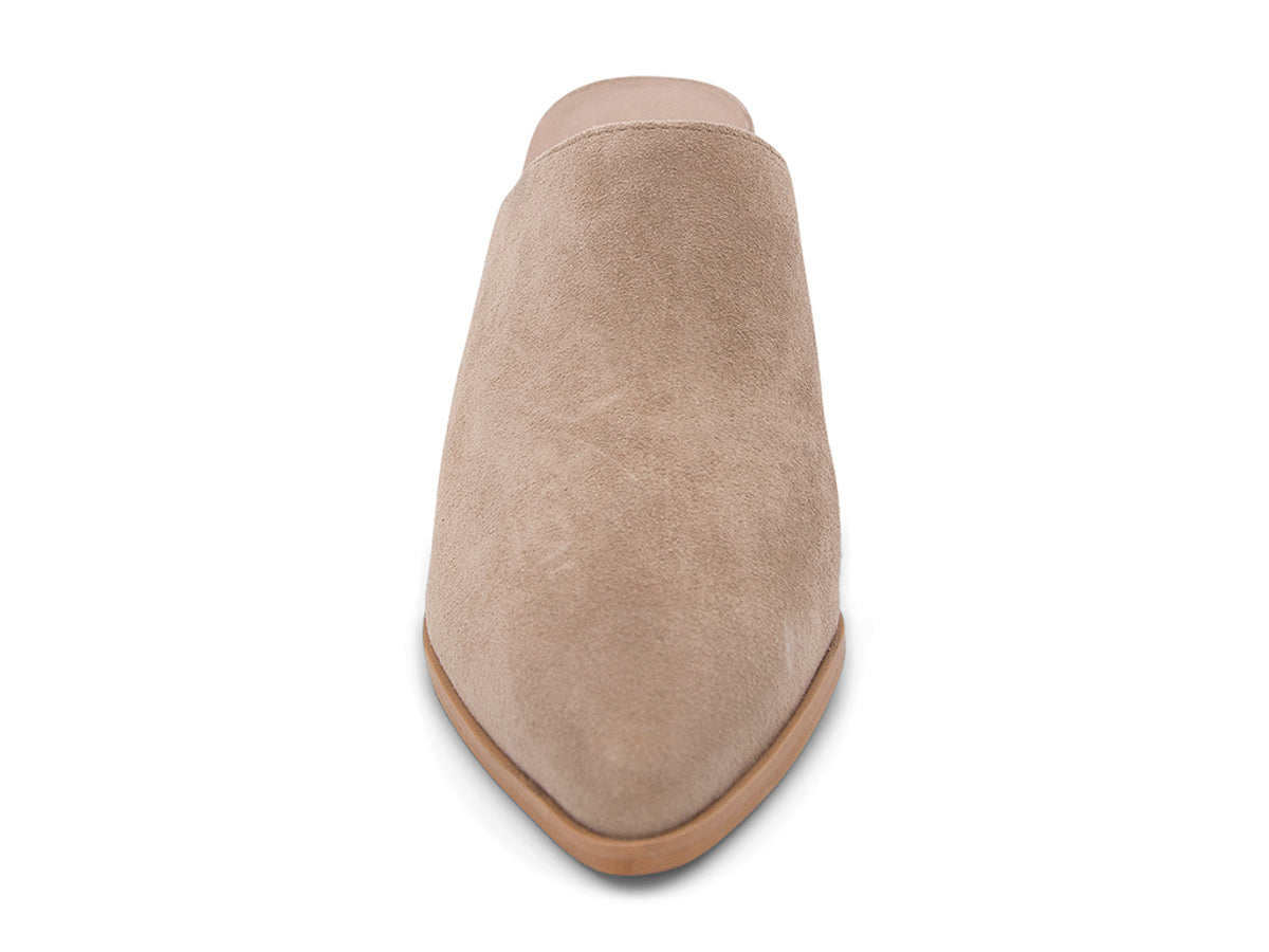 Latte suede slide in pointed toe with block heel on a white background front view
