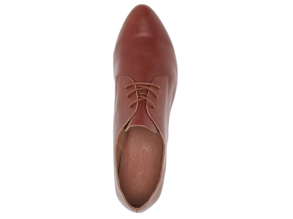 Brown leather lace-up pointed toe flat with mini block heel on a white background top view