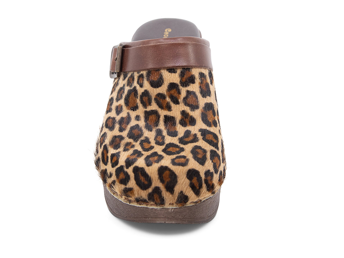 Leopard print heeled clog shoe with strap and buckle on a white background front view