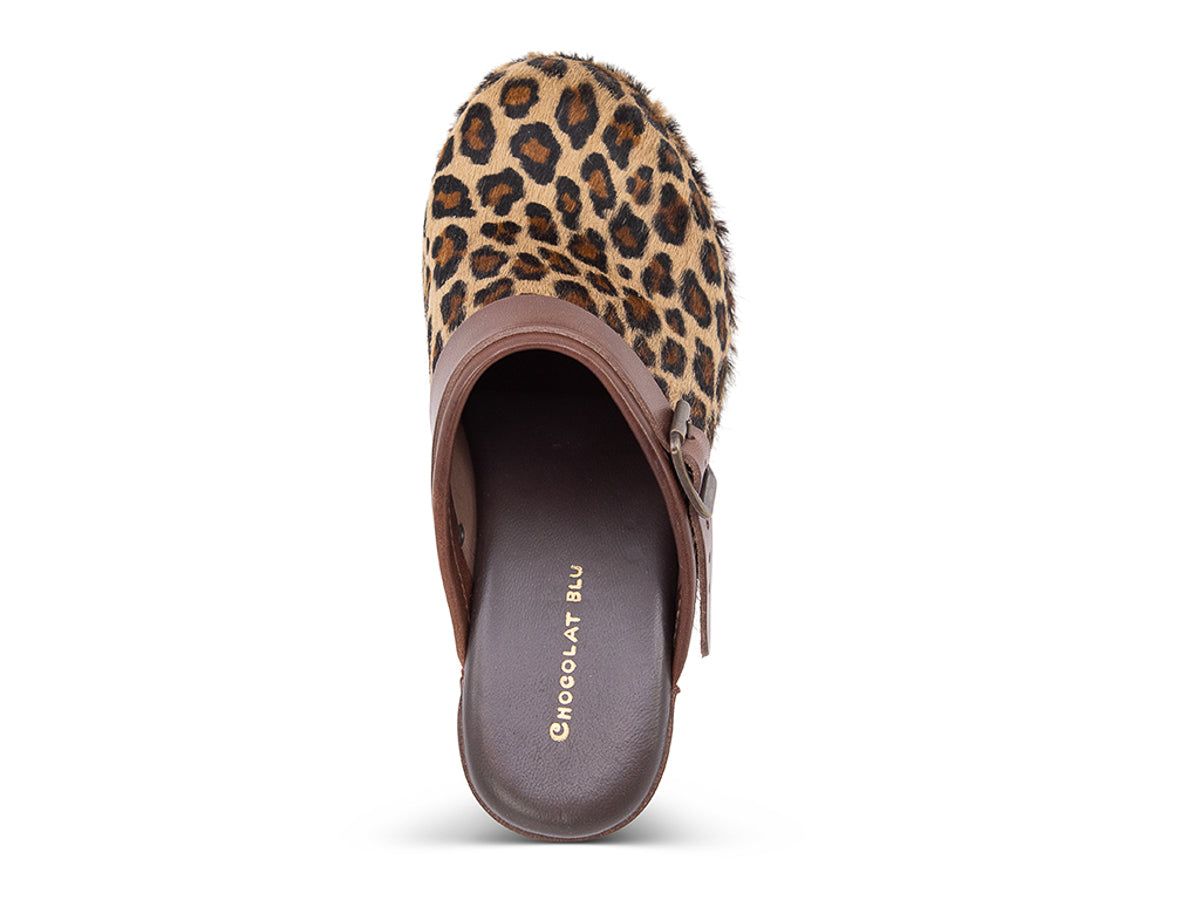 Leopard print heeled clog shoe with strap and buckle on a white background top view