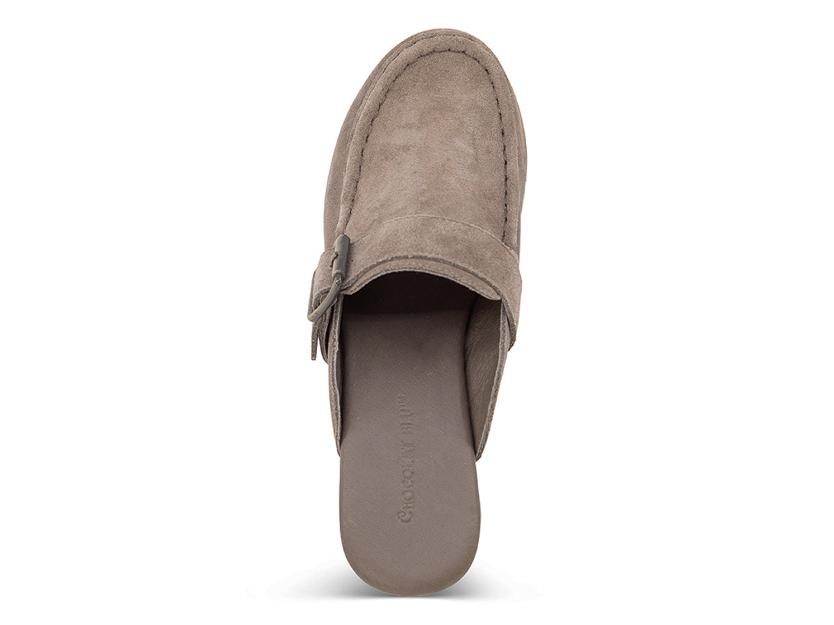 Taupe suede slide in block heel clog shoe with a decorative strap buckle and grommet studson a white background top view 