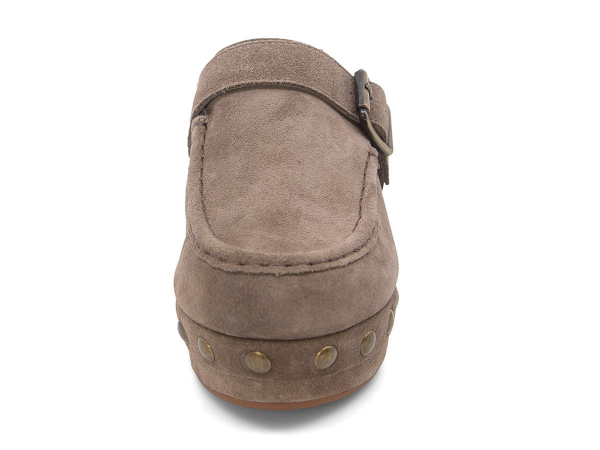 Taupe suede slide in block heel clog shoe with a decorative strap buckle and grommet studson a white background front view 