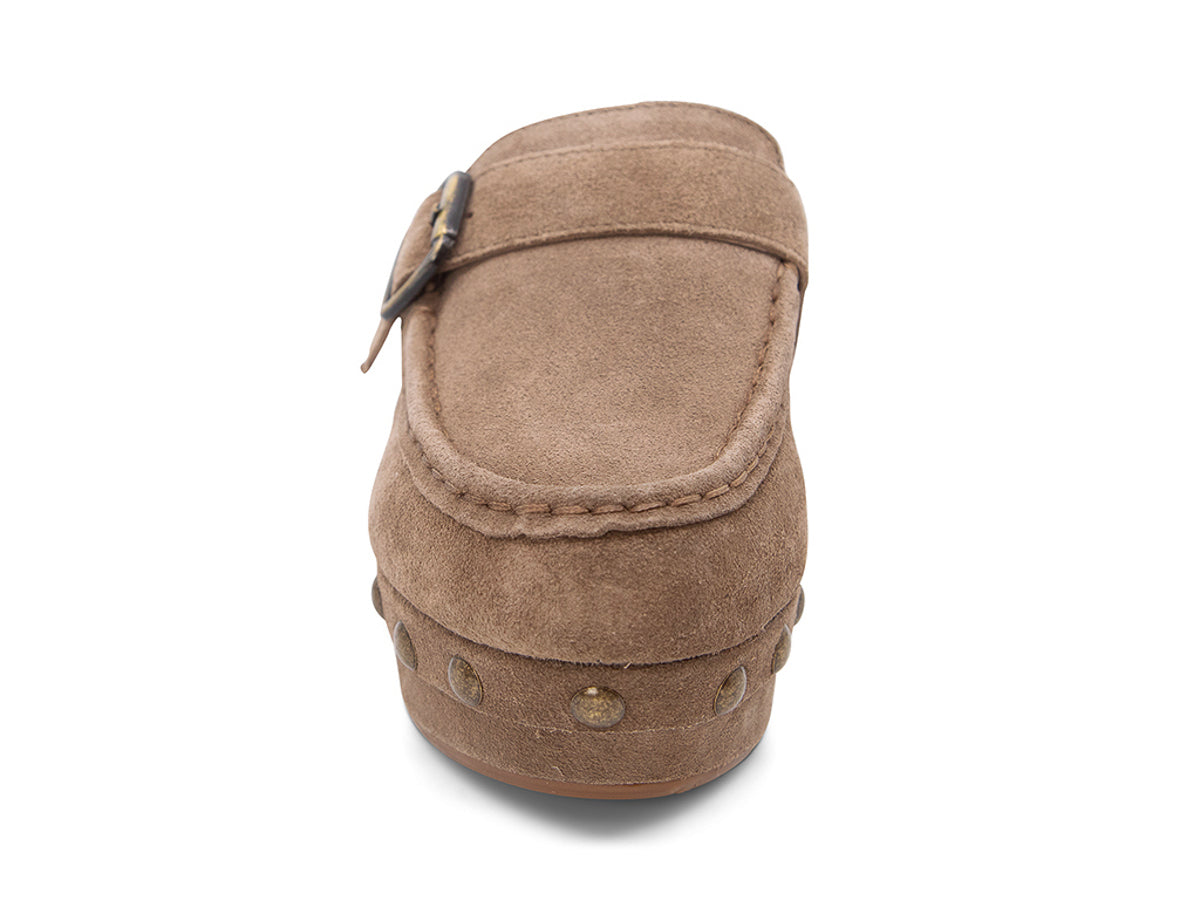 Toffee suede slide in block heel clog shoe with a decorative strap buckle and grommet studson a white background front view 