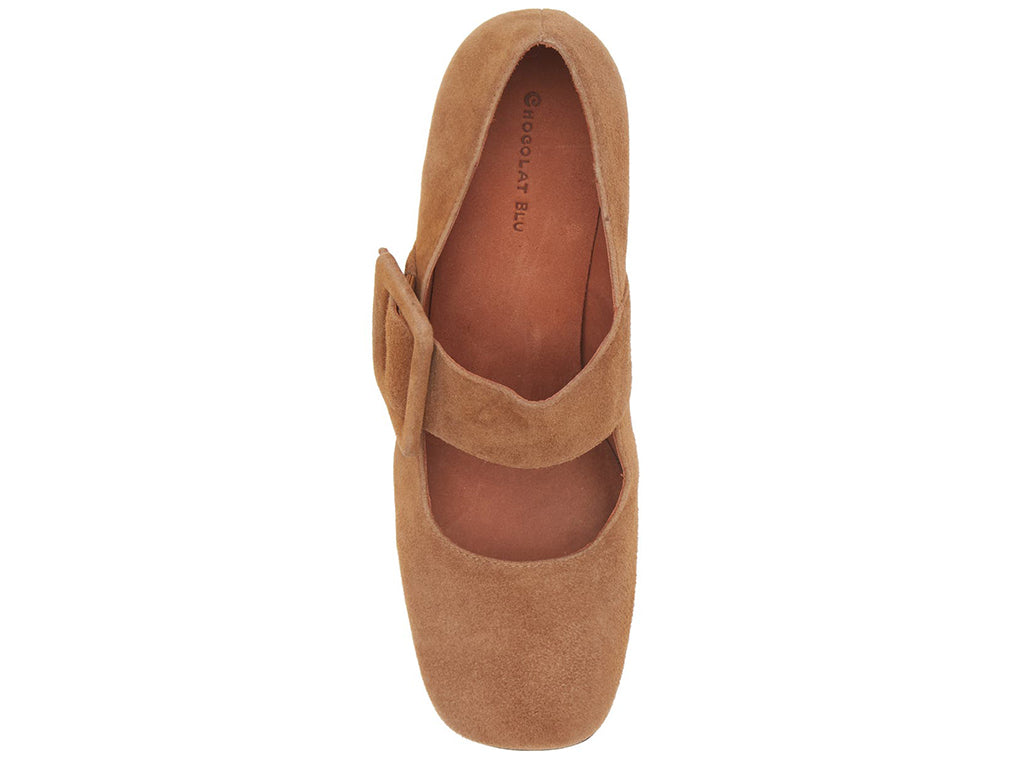 Tobacco suede shoe with block heel and decorative buckle on strap kaying over instep on a white background top view
