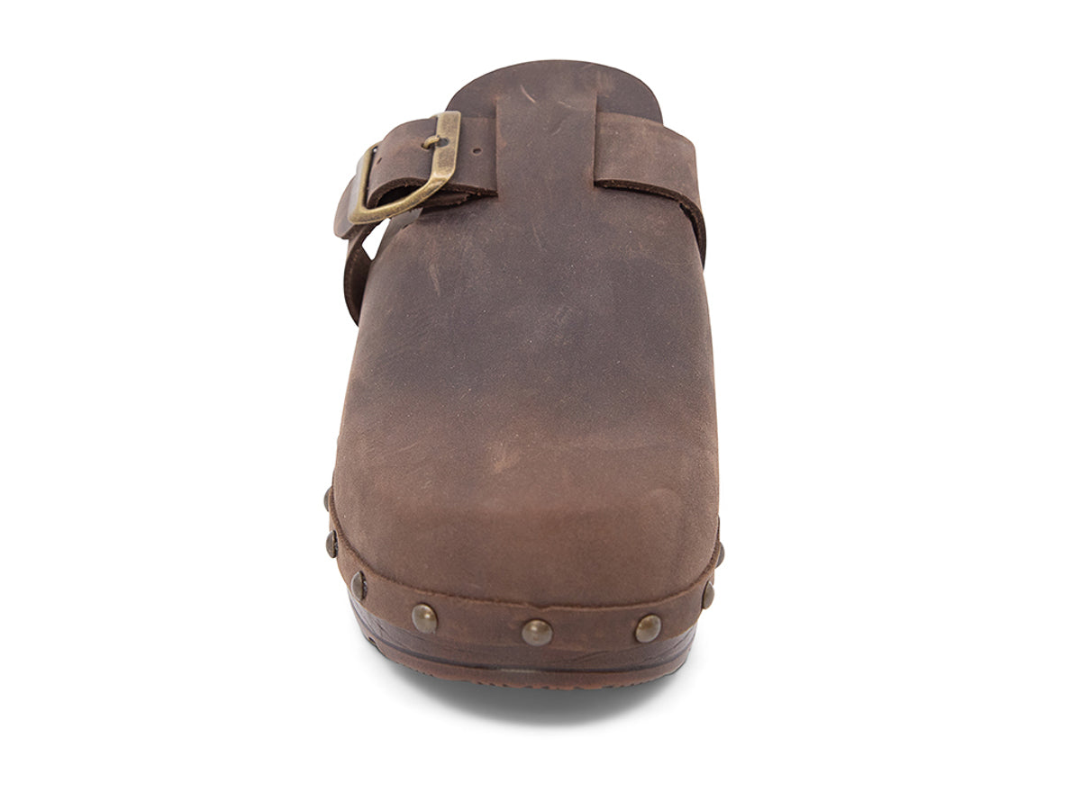 Brown leather clog shoe with a gold buckle and strap  on a white background front view