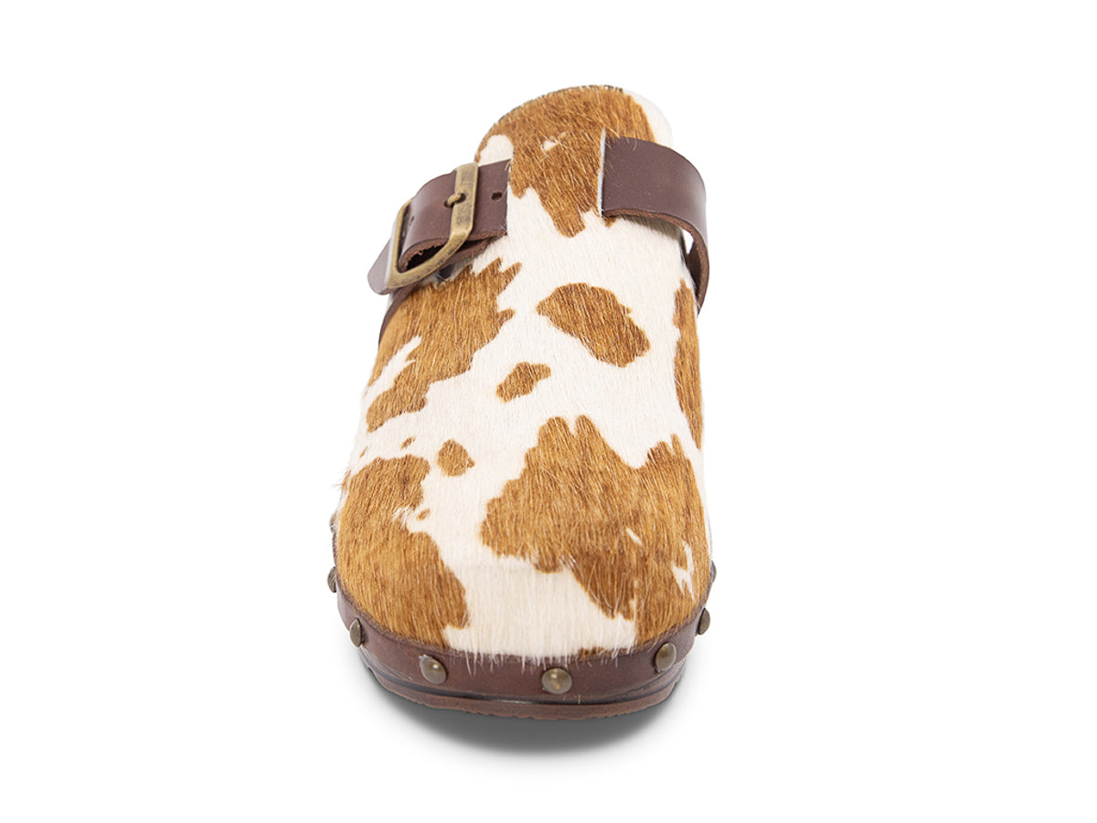 Calf skin clog with brown and white cow print, brown strap and gold buckle on a white background front view
