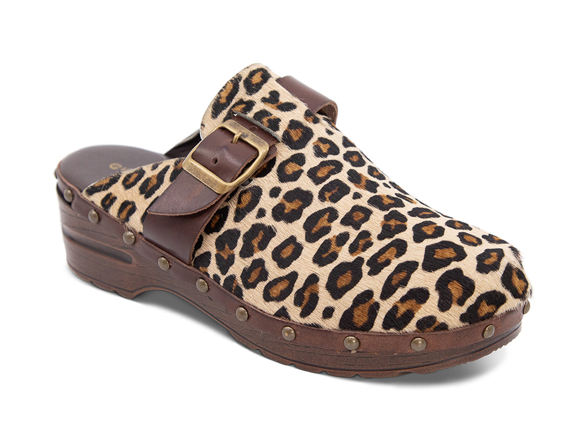 Leopard skin clog with brown and black cow print, brown strap and gold buckle on a white background side angle view
