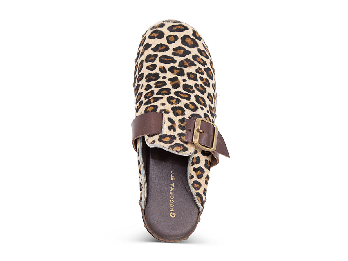 Leopard skin clog with brown and black cow print, brown strap and gold buckle on a white background top view