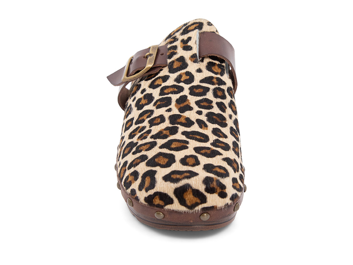 Leopard skin clog with brown and black cow print, brown strap and gold buckle on a white background front view